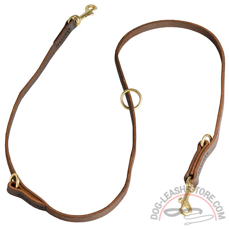 1pc All-in-one Dog Leash, Competition Level Training Leather