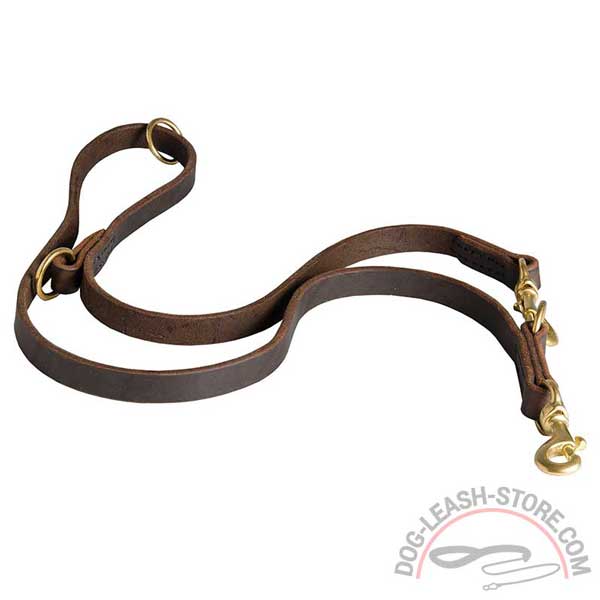 Multimode Leather Dog Leash