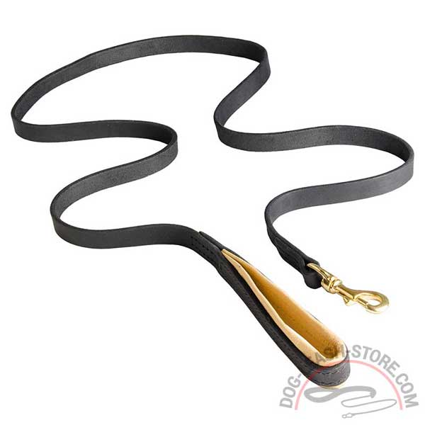 Leather Leash Walking Dog and Training