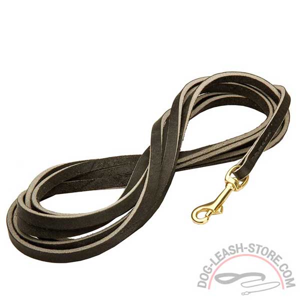 Leather Dog Lead with Brass Snap Hook