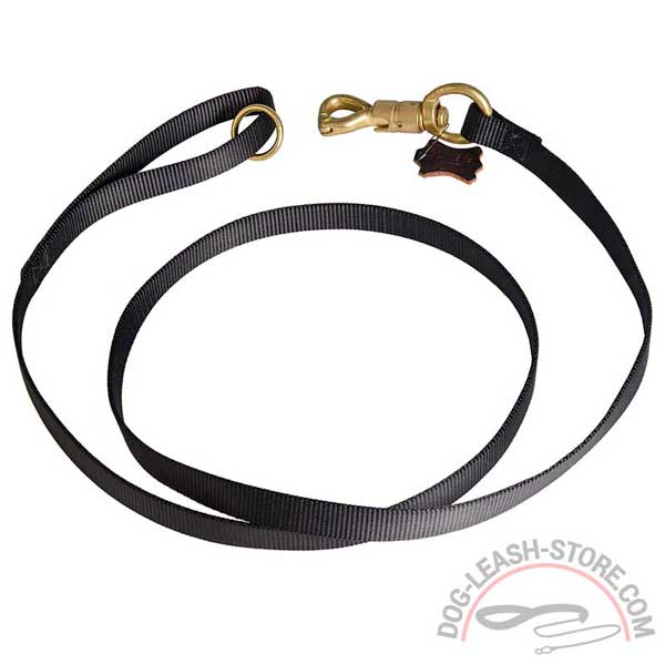 Nylon Dog Leash for Any Weather