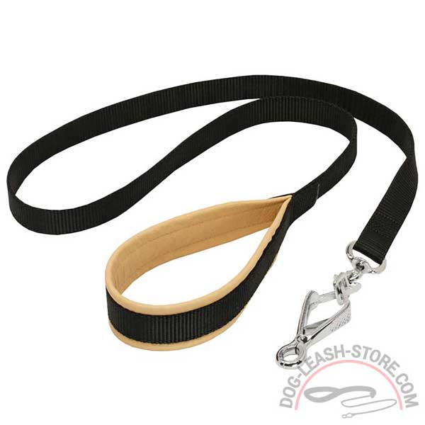 Leash Nylon Dog Walking Everyday