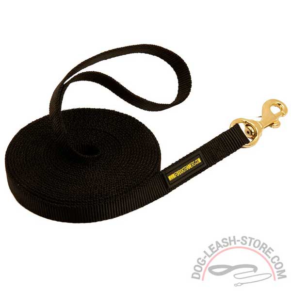 Nylon Dog Lead with Brass Snap Hook