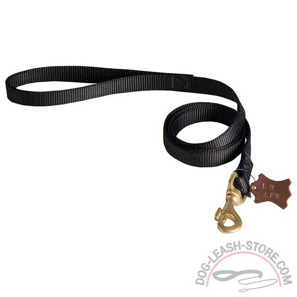 Nylon Dog Lead with Brass Snap Hook