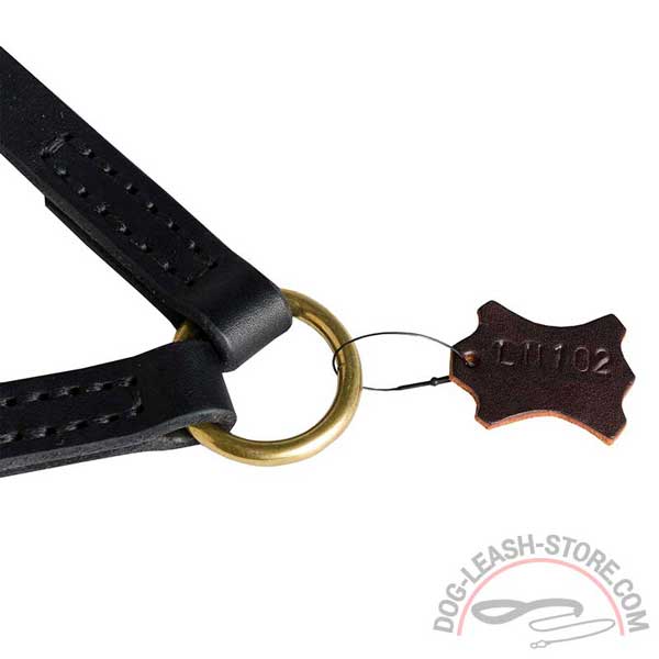 Neatly Stitched Ends of Leather Dog Leash
